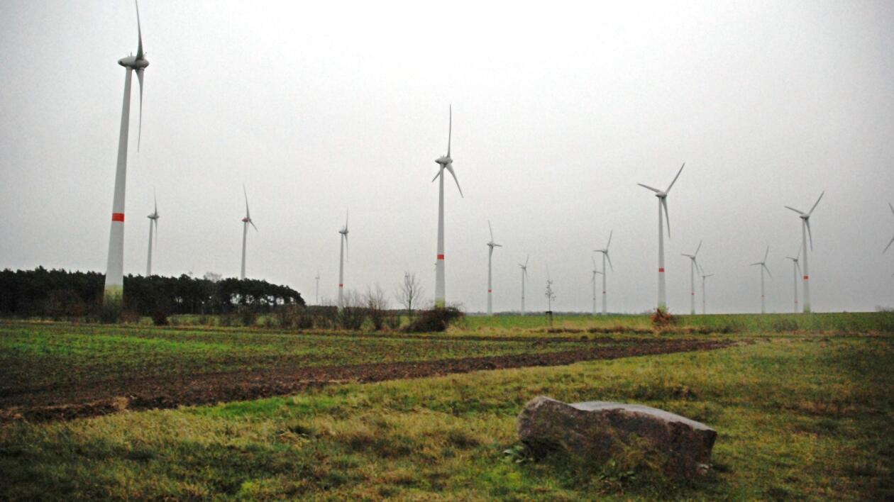 Wiatr pobił rekordy mocy. W Niemczech i Danii cena energii spadła poniżej zera
